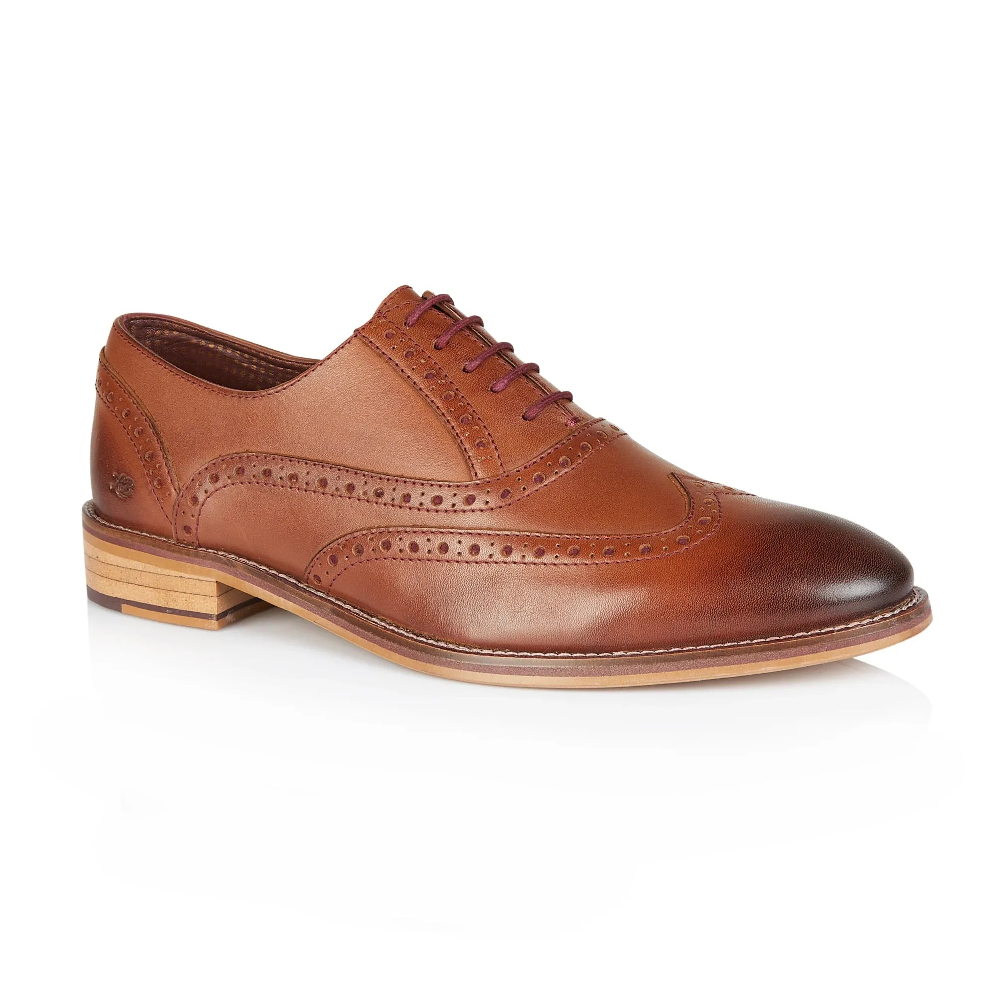 "Tay" Oxford Chestnut